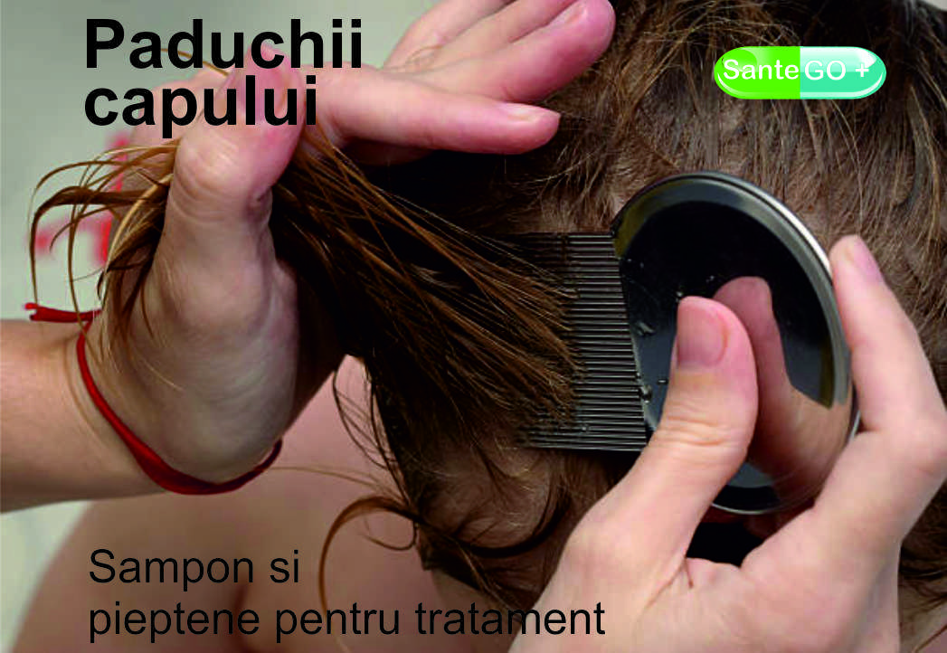 Read more about the article Pediculoza (paduchii) capului