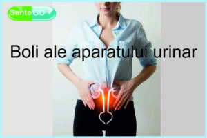 Read more about the article <strong>Bolile aparatului urinar</strong>